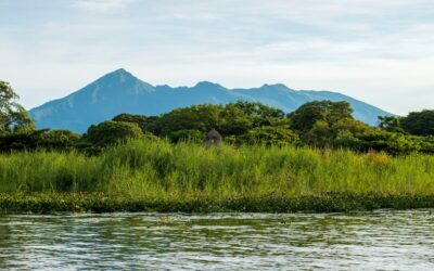 Liposucción Granada: El Arte de Redefinir tu Silueta con Precisión